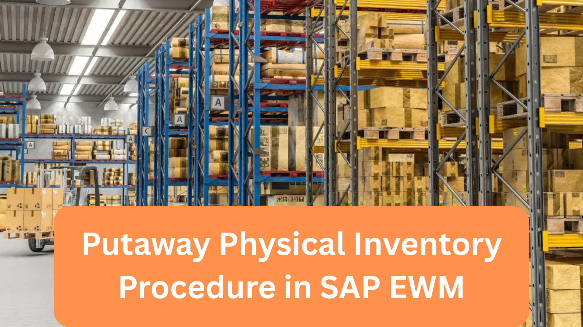 Putaway Physical Inventory Procedure in SAP EWM